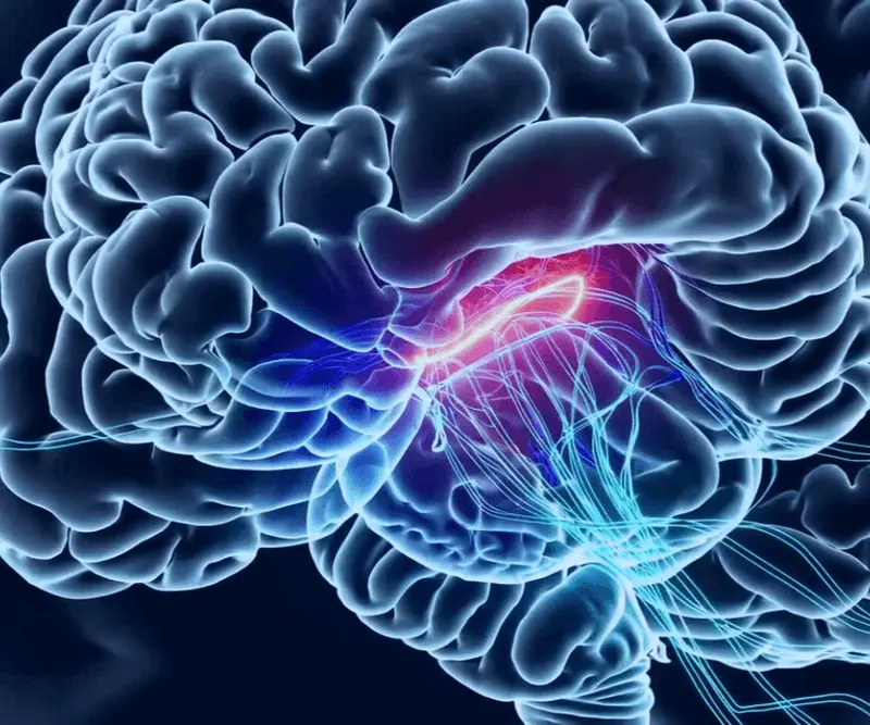 “Bottle of Neuro Energizer brain support supplement displayed with premium nootropic ingredients and cognitive health branding.”